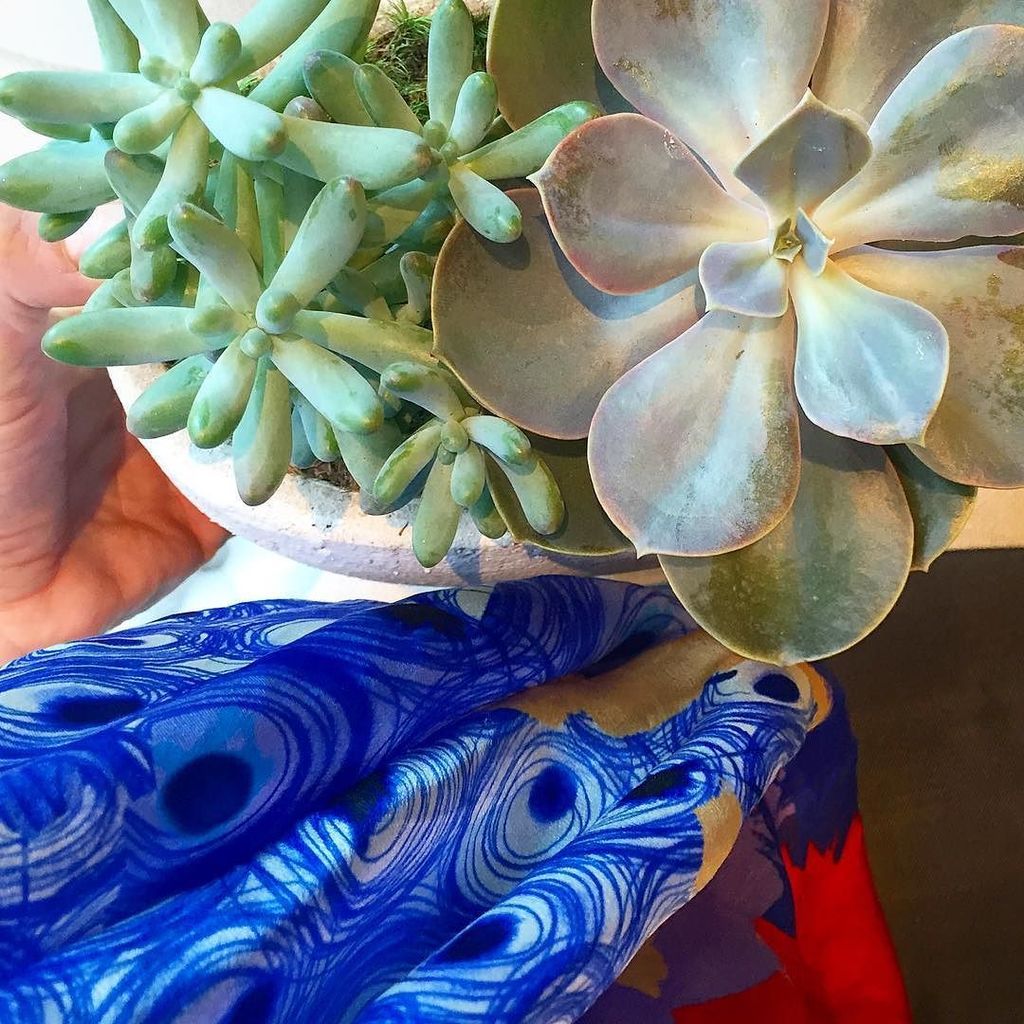 It's finally a #sunnyday in #Boston ☀️☀️ Go outside!, Enjoy nature, get yourself some plan… ift.tt/278QqgI