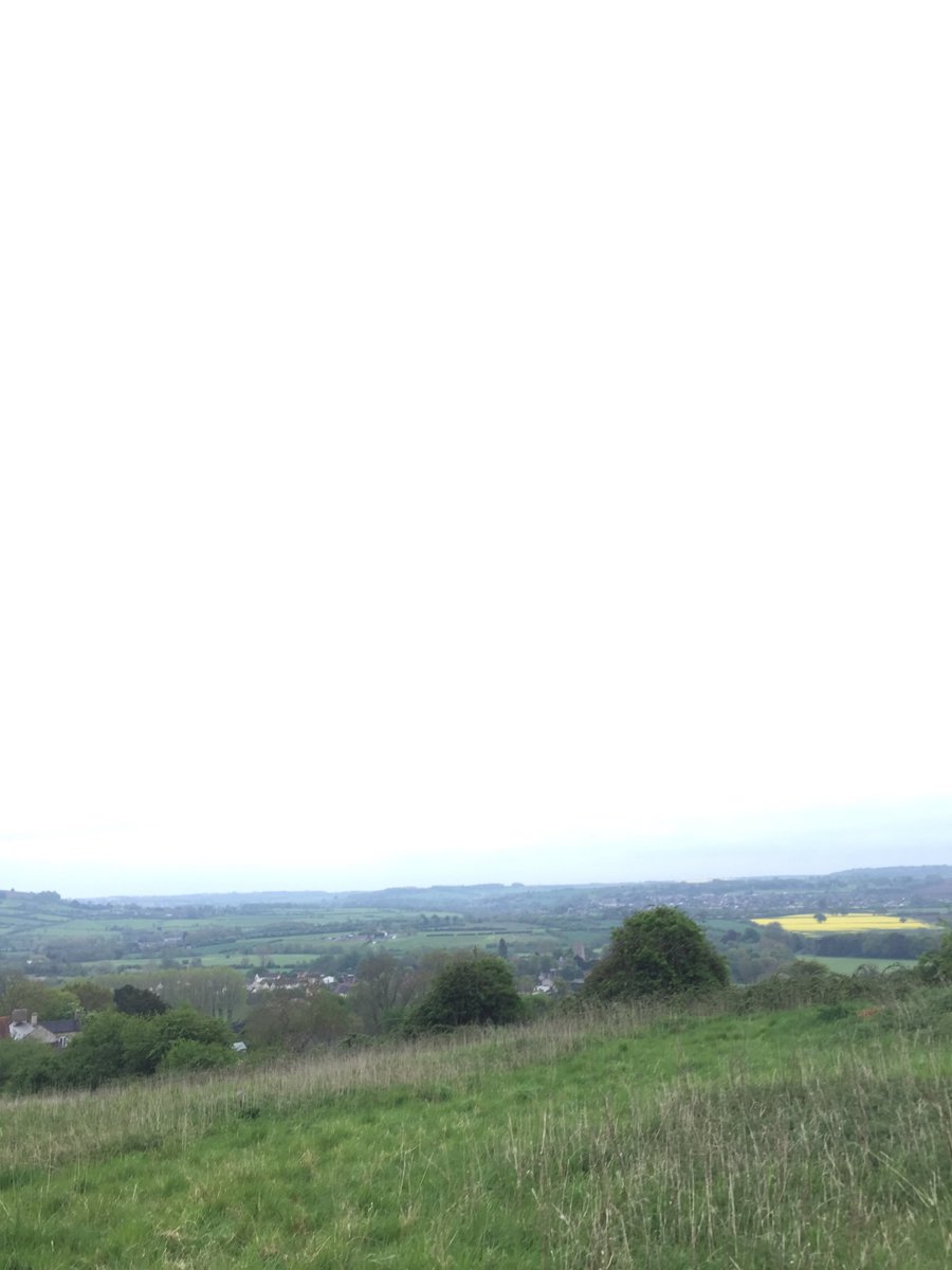 Lydiaples's tweet image. Lovely evening for a walk 🌳🌿🐶 #hellodowntherebristol