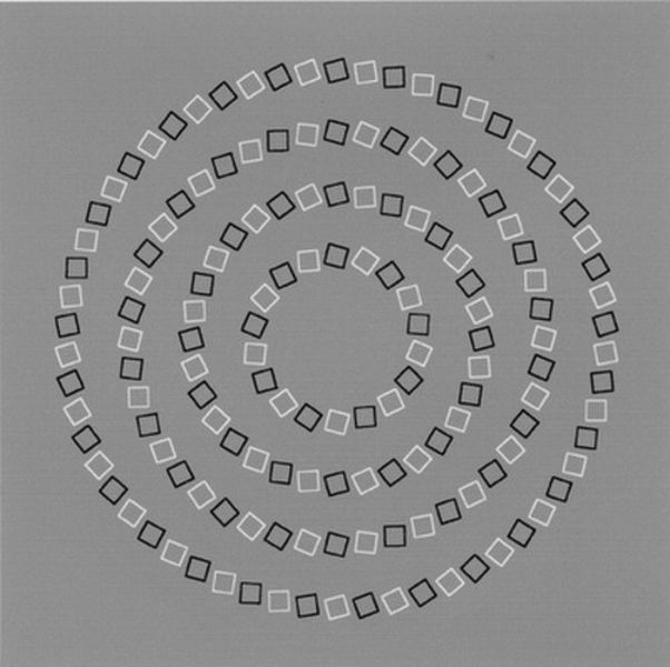SJEyeAssociates's tweet photo. Do these squares spiral or make perfect circles? #eyeillusion https://t.co/3zde0MW4H1