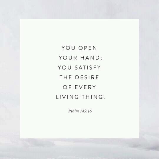 StrictlyChrist's tweet photo. Psalm 37:4 Delight thyself also in the LORD; and He shall give thee the desires of thine heart. #LetChristin #Pray https://t.co/yjt9DL1NlE