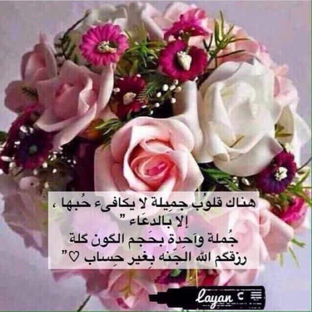 SalmaHabib1760's tweet photo. @Khadija3020 @2010Assad @nourpalestine48 @umaralmahdi @karima_67 @ibr_asran https://t.co/OIKfxugAcy