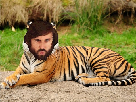 YYAnimals tweet picture