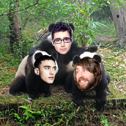 YYAnimals tweet picture