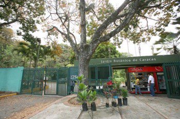 bpcS_Rodriguez's tweet photo. #HoyEn1991 se creó la FUNDACIÓN INST.JARDÍN BOTÁNICO DE VZLA,cuyo objetivo es coordinar la investigación botánica. https://t.co/nG8HqiDGFM