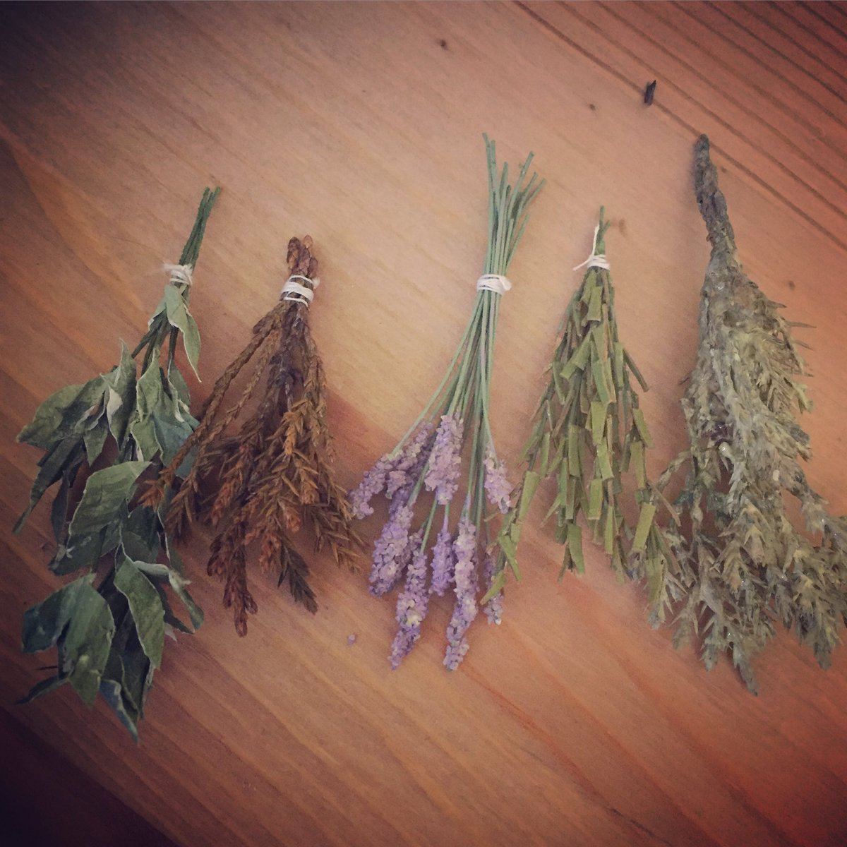 Just a few hanging herbs :)
#stopmotion #animation #miniature