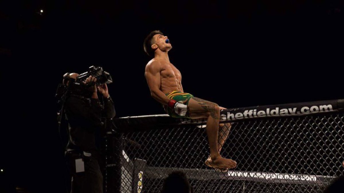 FightPaper's tweet photo. .@SteadfastMMA makes his @VictoryFighting debut in July. https://t.co/88ygMc6SMM #teamhawaii https://t.co/JbECj1M33s