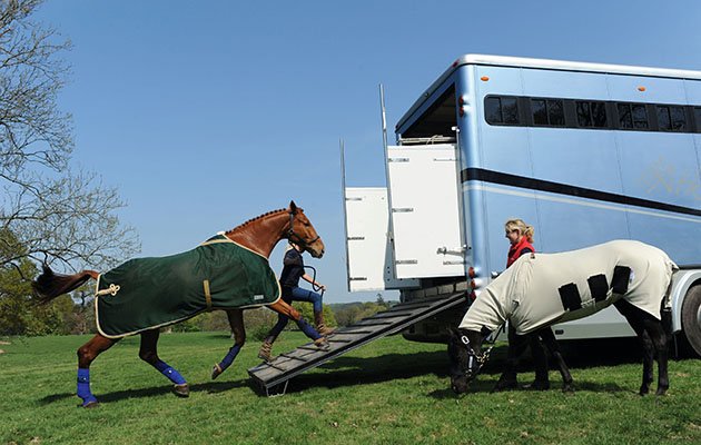Unlicensed horse transporters: warning about the potential dangers po.st/7HGona