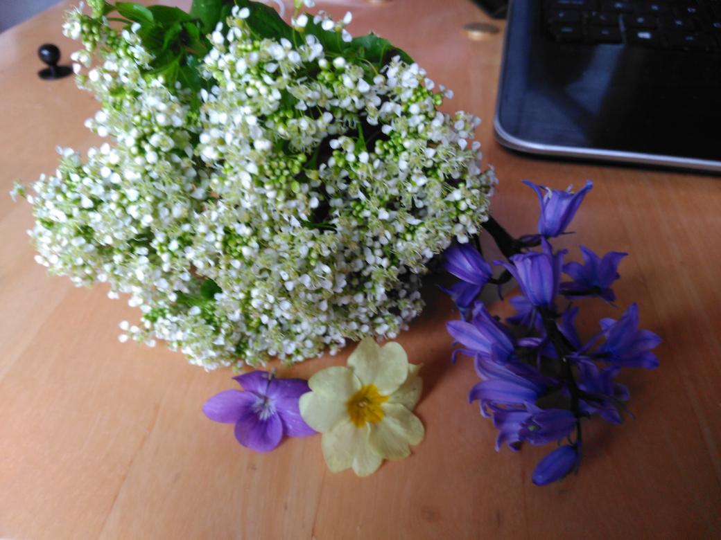 Jack Lenards tweet media