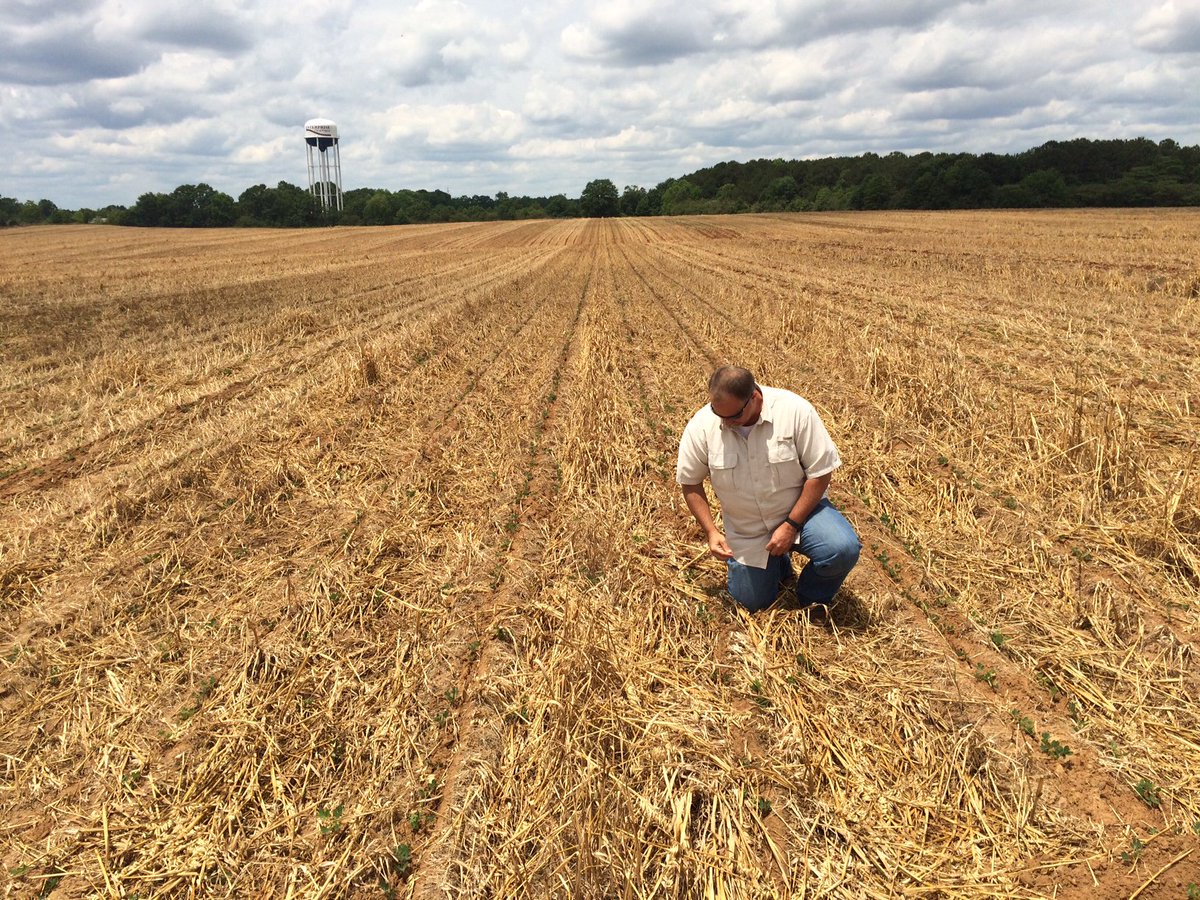 NRCS-Alabama tweet media