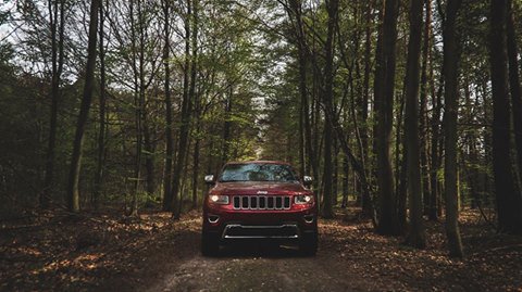 These paths feel like home. #Jeep (Photo credit: Roman K.)