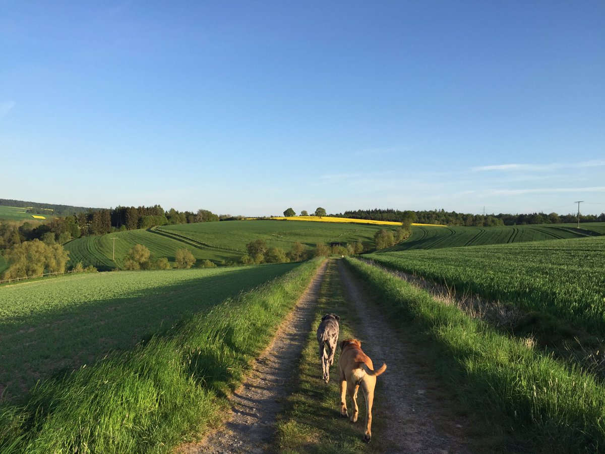 #Hunderunde #Sonne #Frühling #frei