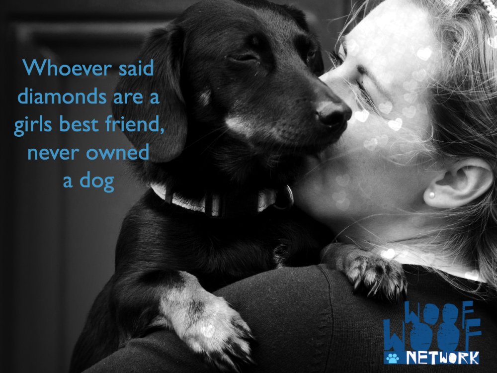 Katie|Business Wonderland tweet media