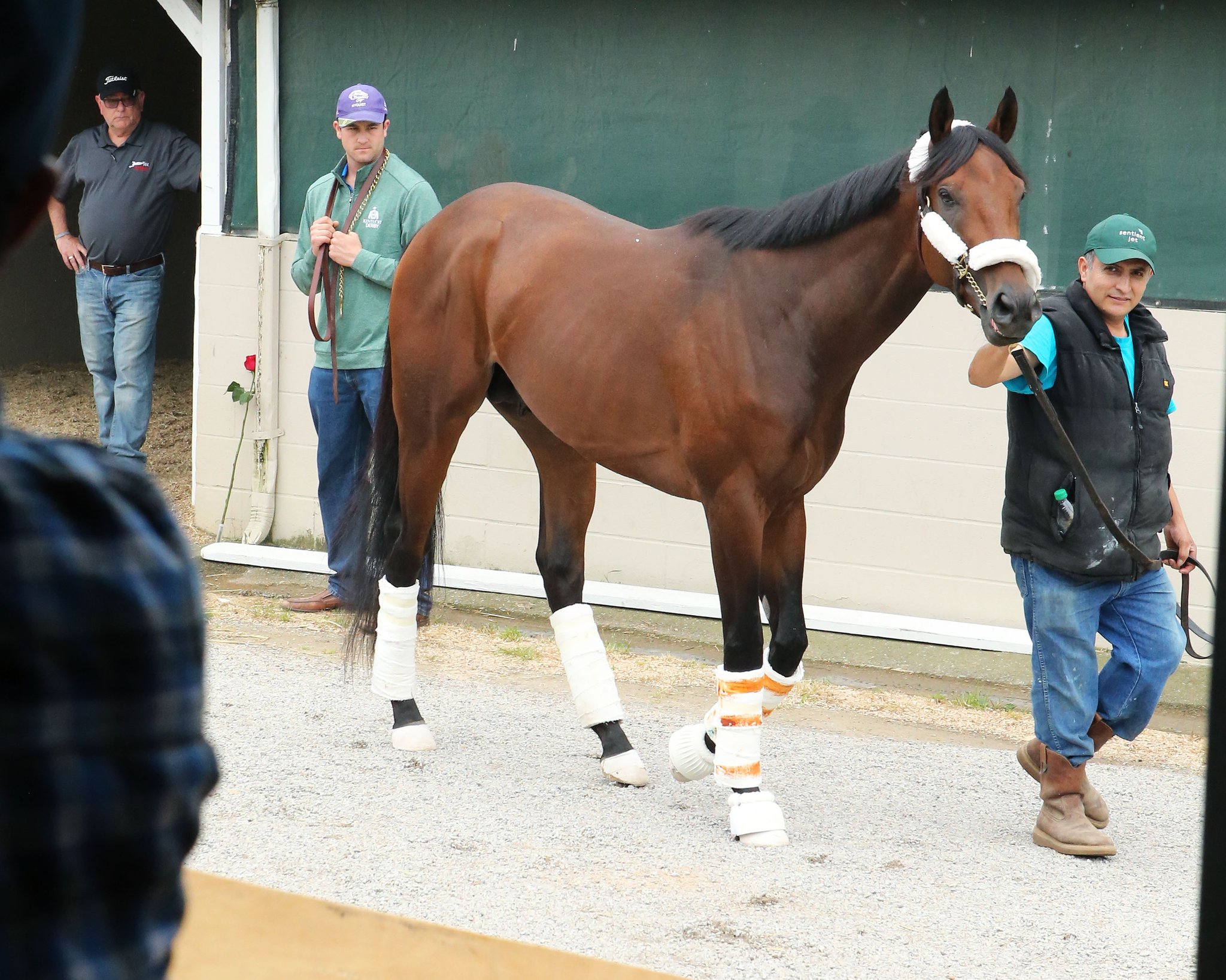 Kentucky Derby on Twitter "The winner of KyDerby 142 Reddam Racing