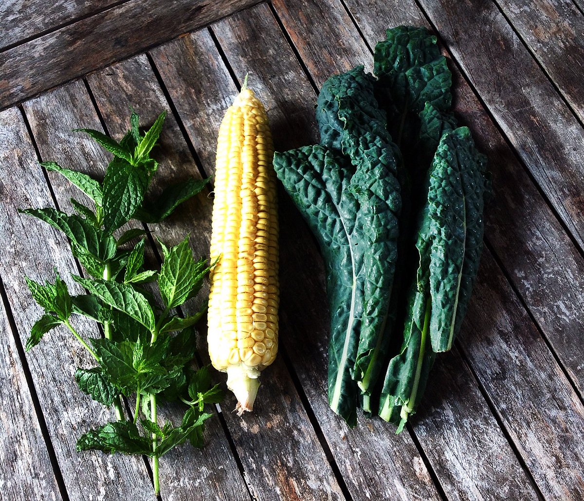 GoldhillOrganic's tweet photo. This is why we are finalists #dorsethour because we love our veggies so much and we hope it really shows PROUD https://t.co/GVjR7S1OQH