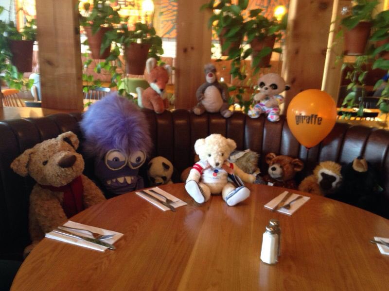 amandareeve2's tweet photo. @debbiebash2 @davidmwaldron @max2bmw @tescowisbech Harvey and friends went for a spot of lunch @giraffetweet, https://t.co/GsoD46lg5q