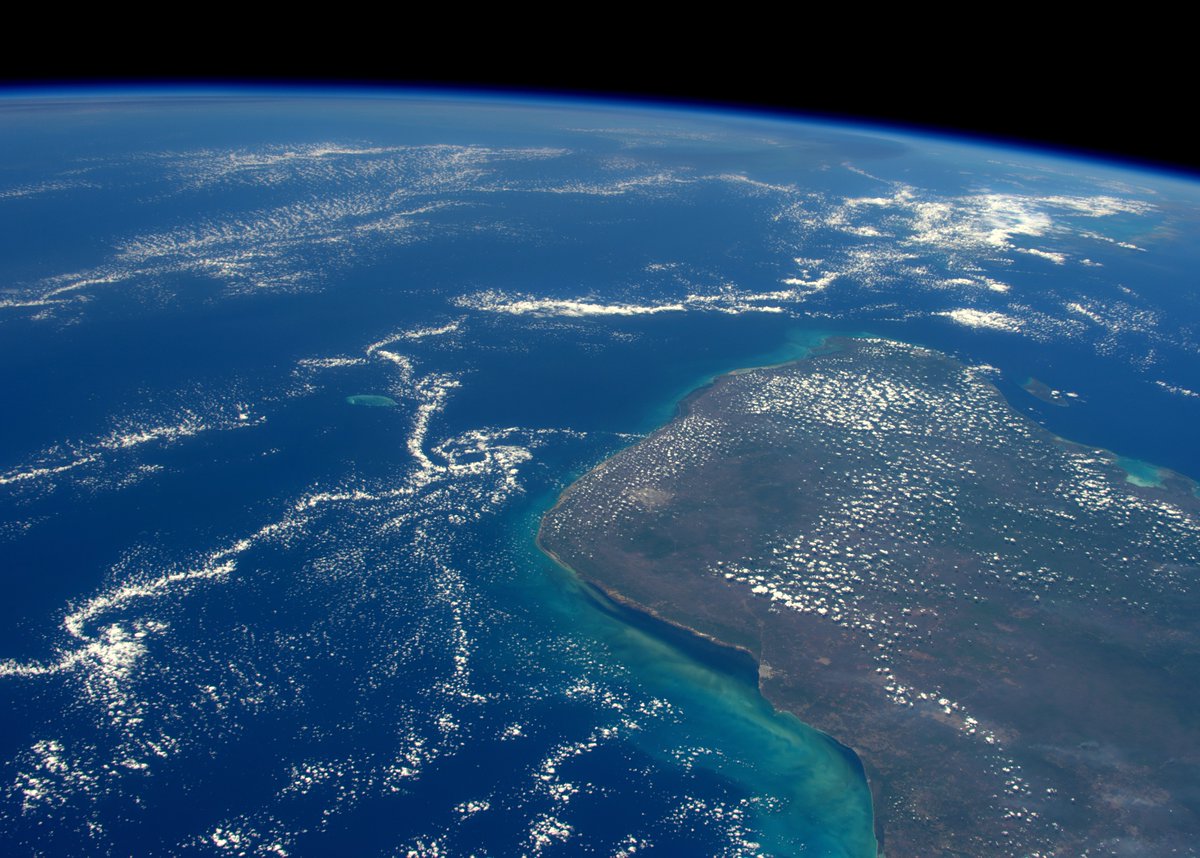 astro_timpeake's tweet photo. 66 million years ago a 14km wide asteroid hit this part of #Mexico & wiped out the dinosaurs @AsteroidDay #Chicxulub https://t.co/nm0dh3eODA