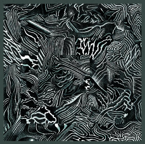 Kilchhofer's (<a href="/kilchh/">Kilchh</a>) "Bittern" evokes nature with modular synths p4k.in/5UOm9l2