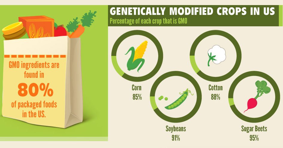 AHealthBlog's tweet photo. Food Labeling Infographic ➡ https://t.co/eD9ntSKosO https://t.co/YCwBvUsDW2
