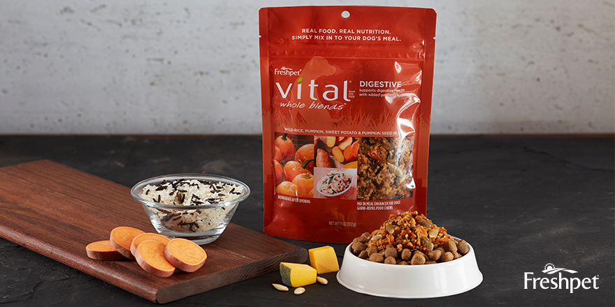 Freshpet's tweet photo. Support your pup's digestive health with our Whole Blend made with pumpkin and sweet potato! https://t.co/w9tm7J4PP2 https://t.co/DUaa5R7qEq