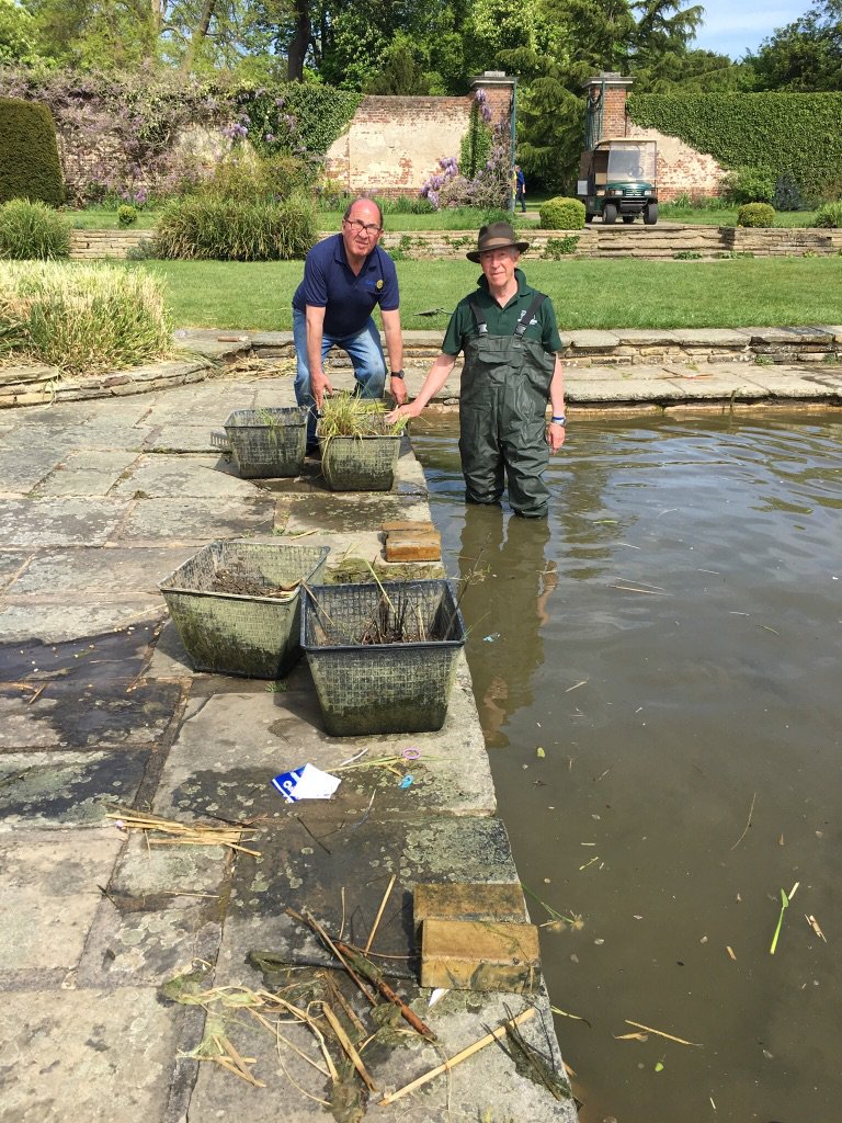 Rotary Edg&Stanmore tweet media