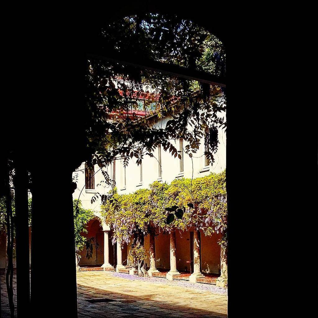 Milanodavedere's tweet photo. #loryandalpha #lory_alpha_nr #lory_alpha #9vaga_dailythemes9 #ig_4every1 #my_capture #scattaingiro #scatti #ptk_arc… https://t.co/DnBZXSIogz