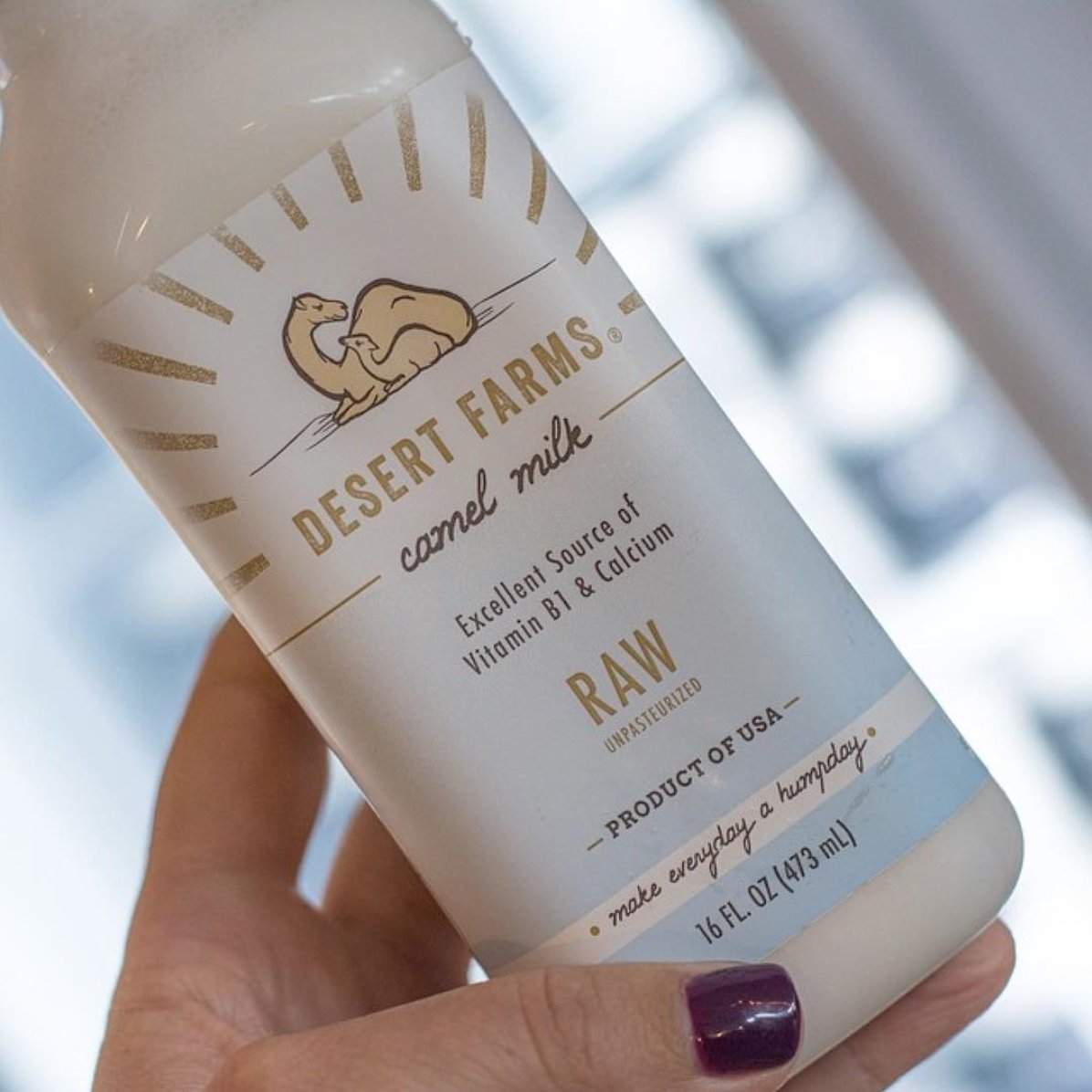 #Primal Indulgences at @MissionHeirloom: #camelmilk from @desertfarmsmilk #rawmilkrevolution