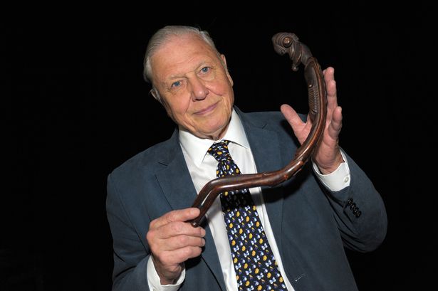 ebook Project Management,