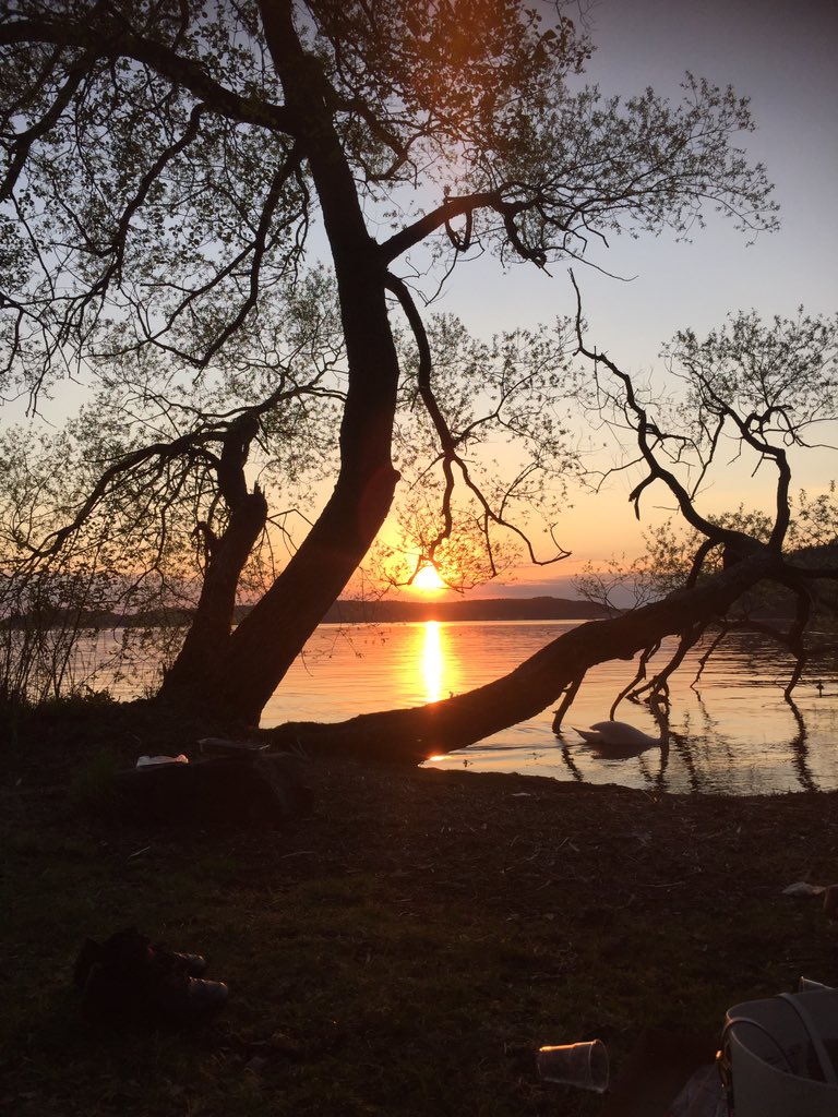 O_t_t_i_l_i_a's tweet image. Njuter