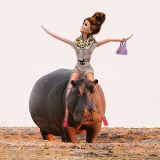 These creatures are so misunderstood &amp; stigmatized. I'm here to love the unlovable. The lost. The forgotten: Hippos!