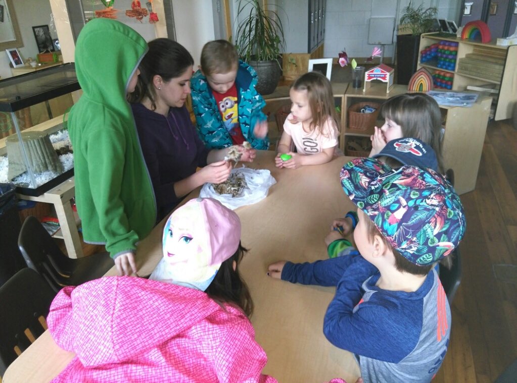 TennerAshley's tweet photo. @ChildCareYMCA  #sciencefun #funoutdoors #plantcells #investigating theinsides #programmingfortheoutdoors https://t.co/dgLacogvve