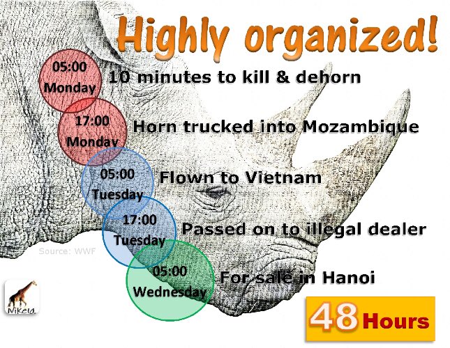 The Rhino tweet media