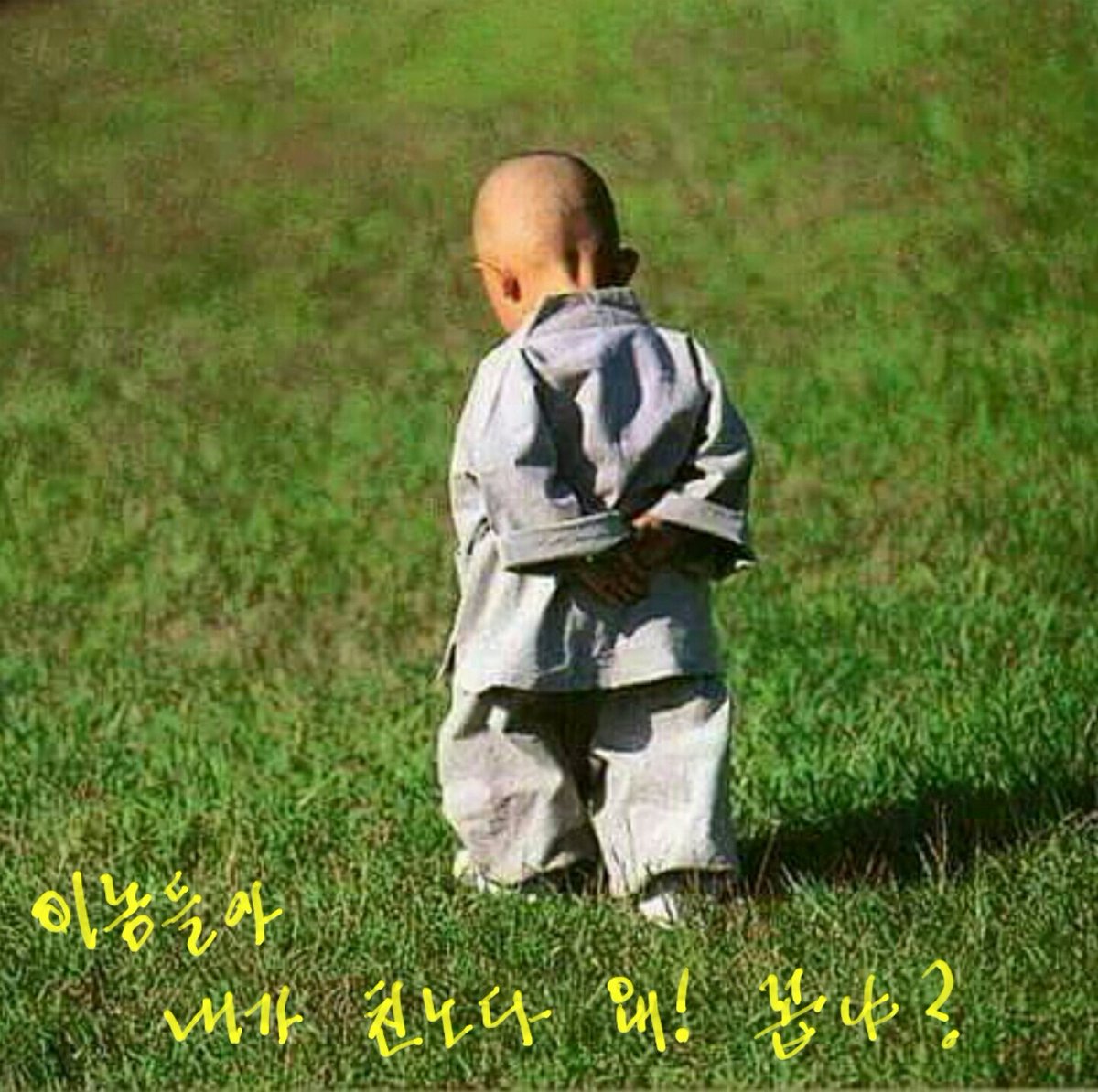 reunionpop's tweet photo. https://t.co/beNVQLXLYp