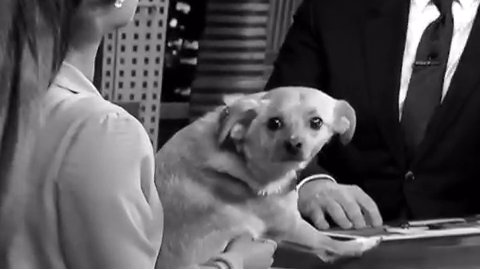_slowlyblue's tweet photo. @ArianaGrande WE WANT THE VISUAL 2 😭😭😭😢😢 #JusticeForVisual2 #DangerousWomanVisual2 https://t.co/KNvPxkb89n