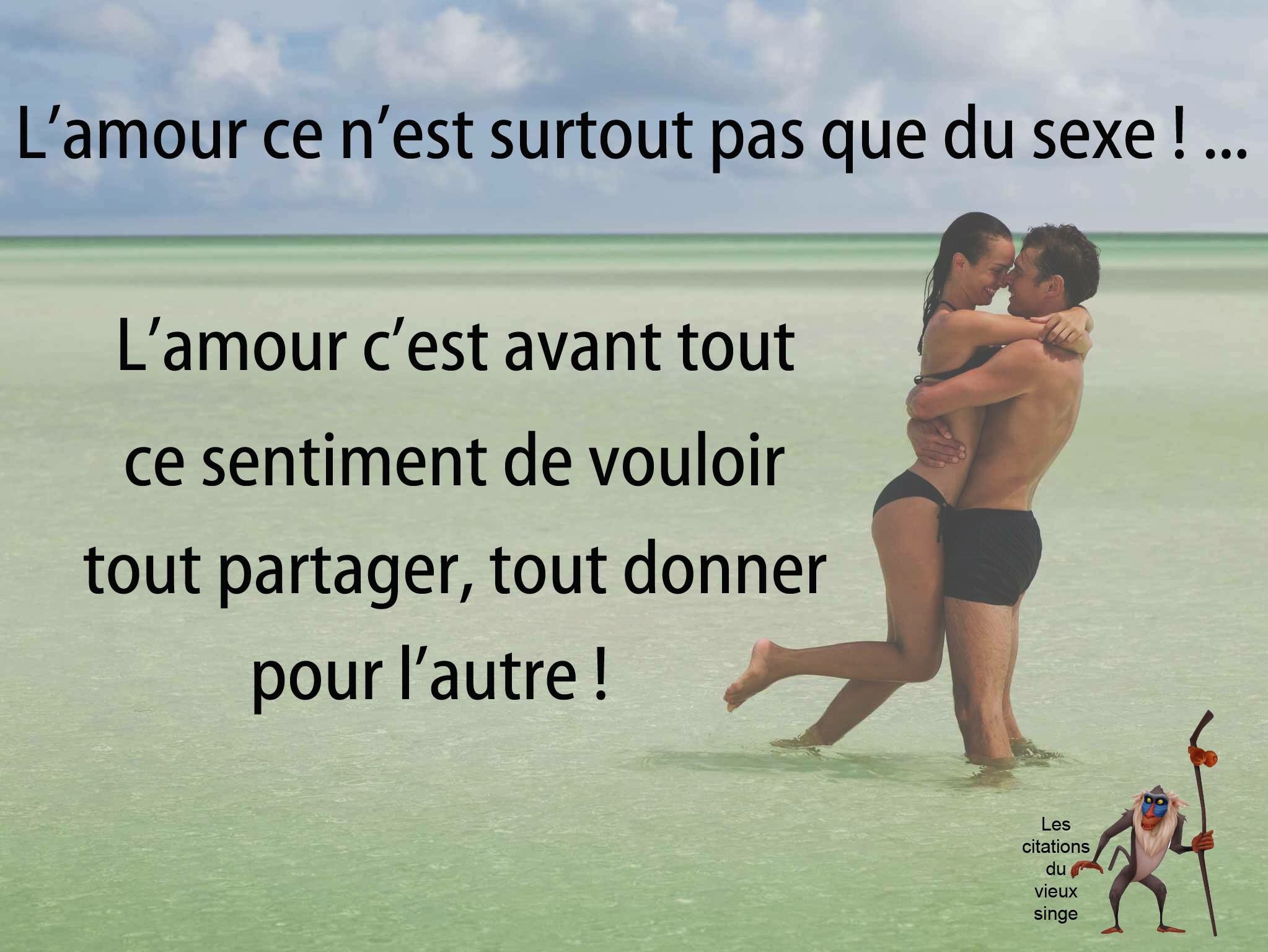 Citation Vieux Singe Citationdusinge Twitter
