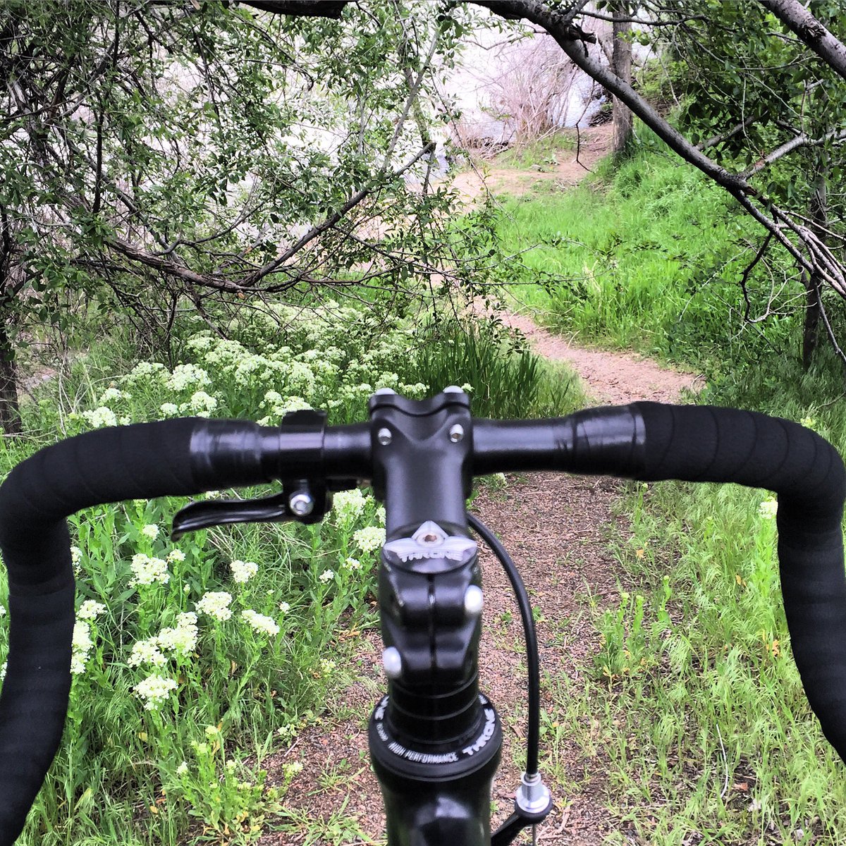 timaxiom's tweet photo. #thronebicycles #urbancyclistdenver #courier #jj's #fixedgear #trackbike #46-15 #bananabread #34miles https://t.co/fpnBcXFWsq