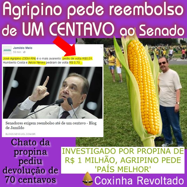 ParatyHouse's tweet photo. José Agripino. Na festa junina, só aceita milhão https://t.co/Adp61mPzzK