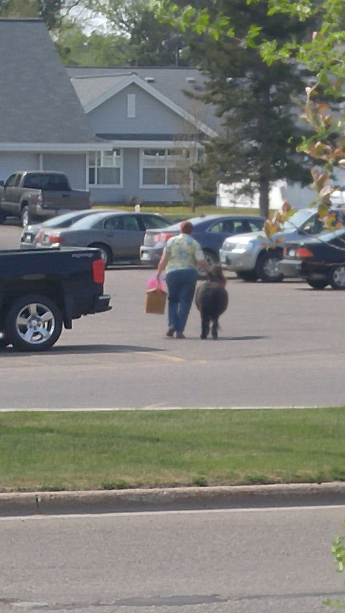 IanRautio's tweet photo. So there was a lady with a horse on Delton today..😂And yes that's al helping load it! https://t.co/J9g2g0un4p