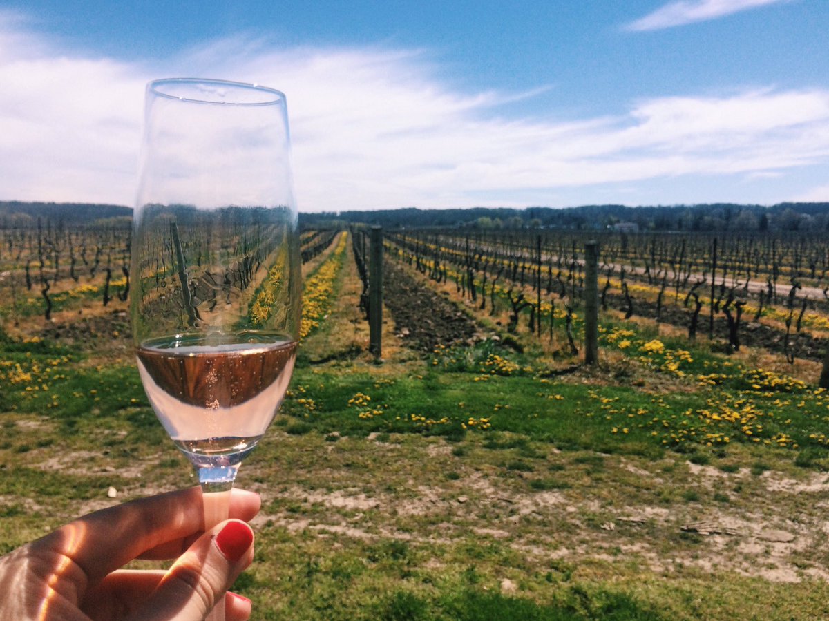 katembook's tweet photo. Some of my favourite #Niagara sparkling comes from the cutest winery, @kewvineyards. Check them out! @WineCountryOnt https://t.co/kRRq6V8GOw