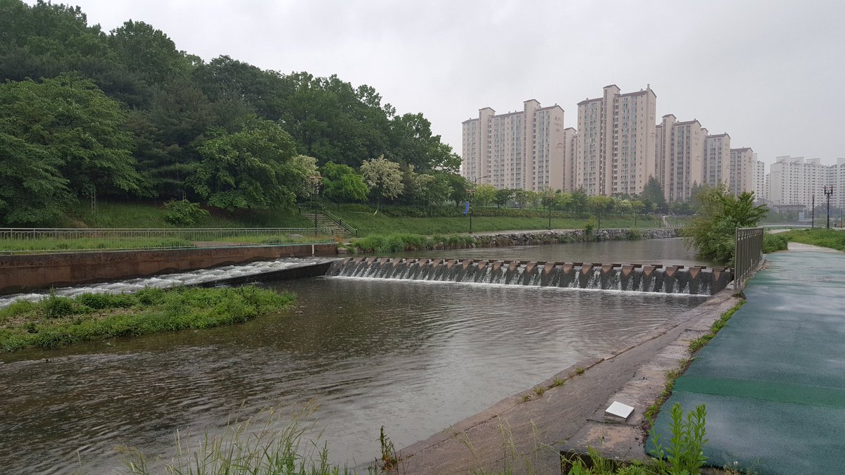 #성남시 탄천의 여름 
용인시 경계