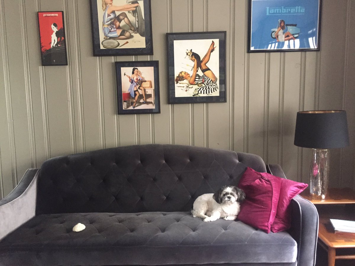 ErinBOverstreet's tweet photo. Left @Oreo_CookieCake at 7am (pic#1). 12 hours later, hasn't lifted a paw (pic#2). Now that's how to do #Monday https://t.co/zgZXIMMMLs