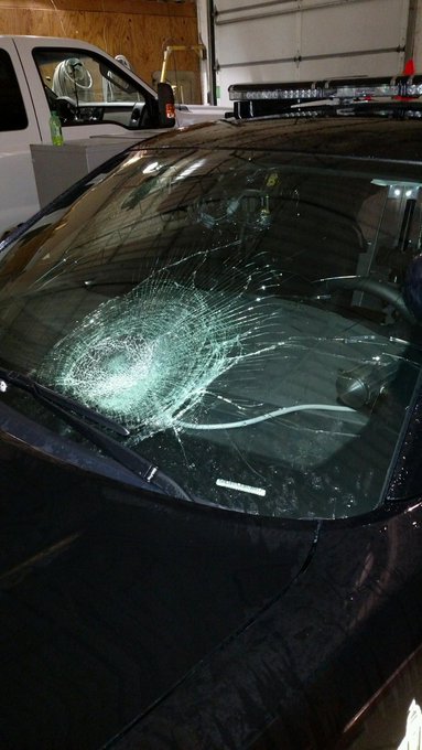 View image on Twitter