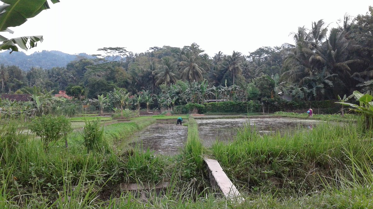 Sugeng enjang sedulur.. selamat beraktifitas. Semogga hari ini &amp;selamanya air akan tetap mengalir ke ladang kita.