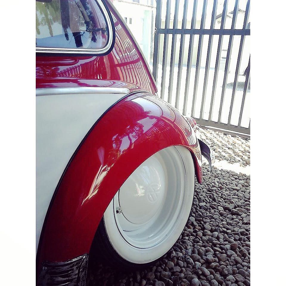 beetlebug1938's tweet photo. 😱😍🤑#beetlehunter #beetle #beetleoftheday #vw #bug #fusca #vocho #vwlove #aircooled #volkswagen #type1 #käfer #solop… https://t.co/fTmn4y6X65