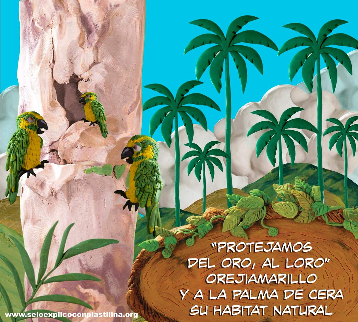 LiberaCol's tweet photo. Sustentabilidad del planeta y miles de animales humanos y no humanos en riesgo. #YoDefiendoLaPalmaDeCera https://t.co/rS4K7GHVA6