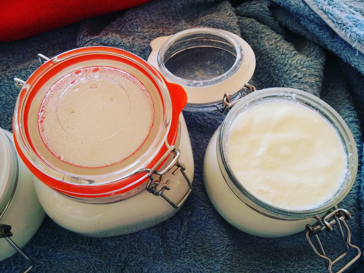 katbergin's tweet photo. @Marimiri_ third time's the charm for the yoghurt :) thanks for the recipe, can't wait to eat it :) https://t.co/ULuBLTnWar