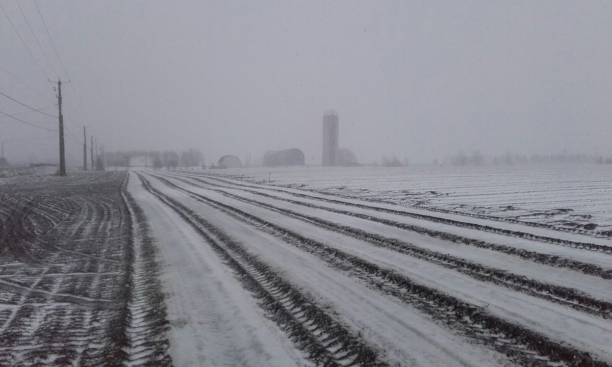 samcosystem's tweet photo. @Campagna911 @ChkaiserCh @GabBelzile maize under film and snow. 20 C temp Sat and 1 C on Sun Lac st Jean Quebec. https://t.co/1aSqkmlgZ3