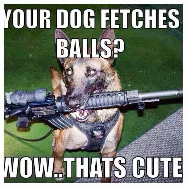 Wow, your dog fetches balls? 
That's cute 
#k9 🐾
#2A