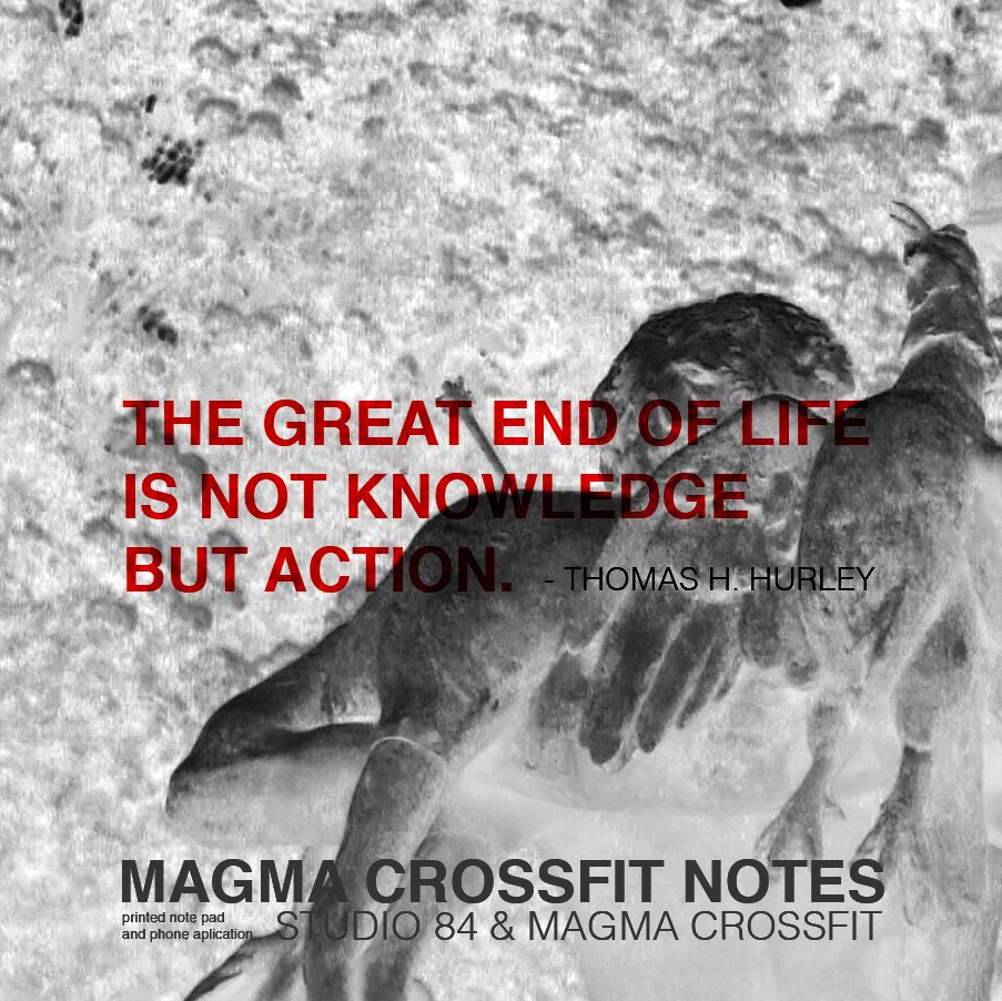 crossfitnotes's tweet image. FOLLOW US #crossfit #notepad #epic #kickstarter #quotes #crossfitcommunity #inspiration #design #thomashenryhuxley