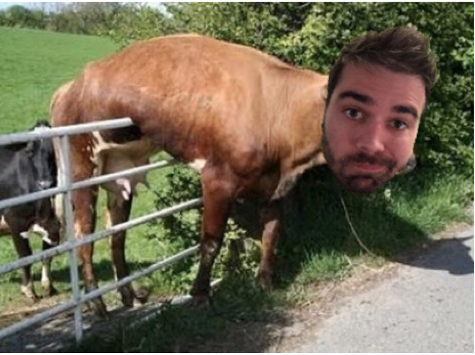 tasliyahAN's tweet photo. Hi char!:3 sorry.. @AllieWess @CharlesTrippy https://t.co/LLnASKJRT5