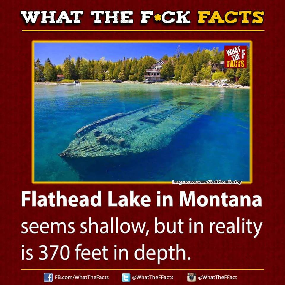 WhatTheFFacts's tweet photo. https://t.co/xBzlABEeYy